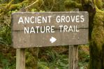 PICTURES/Sol Duc - Ancient Groves/t_Ancient Groves Sign.JPG